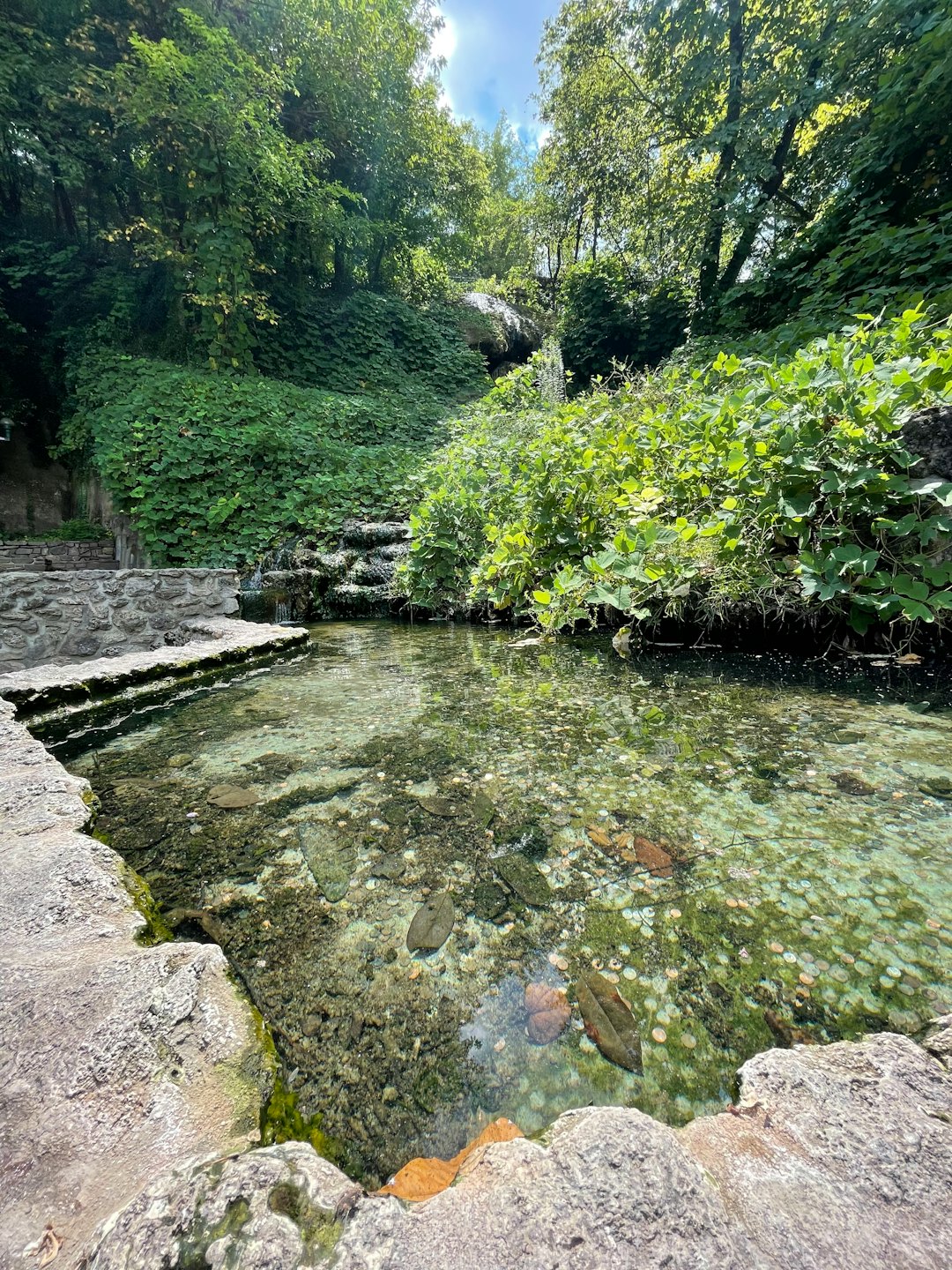 Monete e foglie sul fondo di una limpida pozza di sorgente.