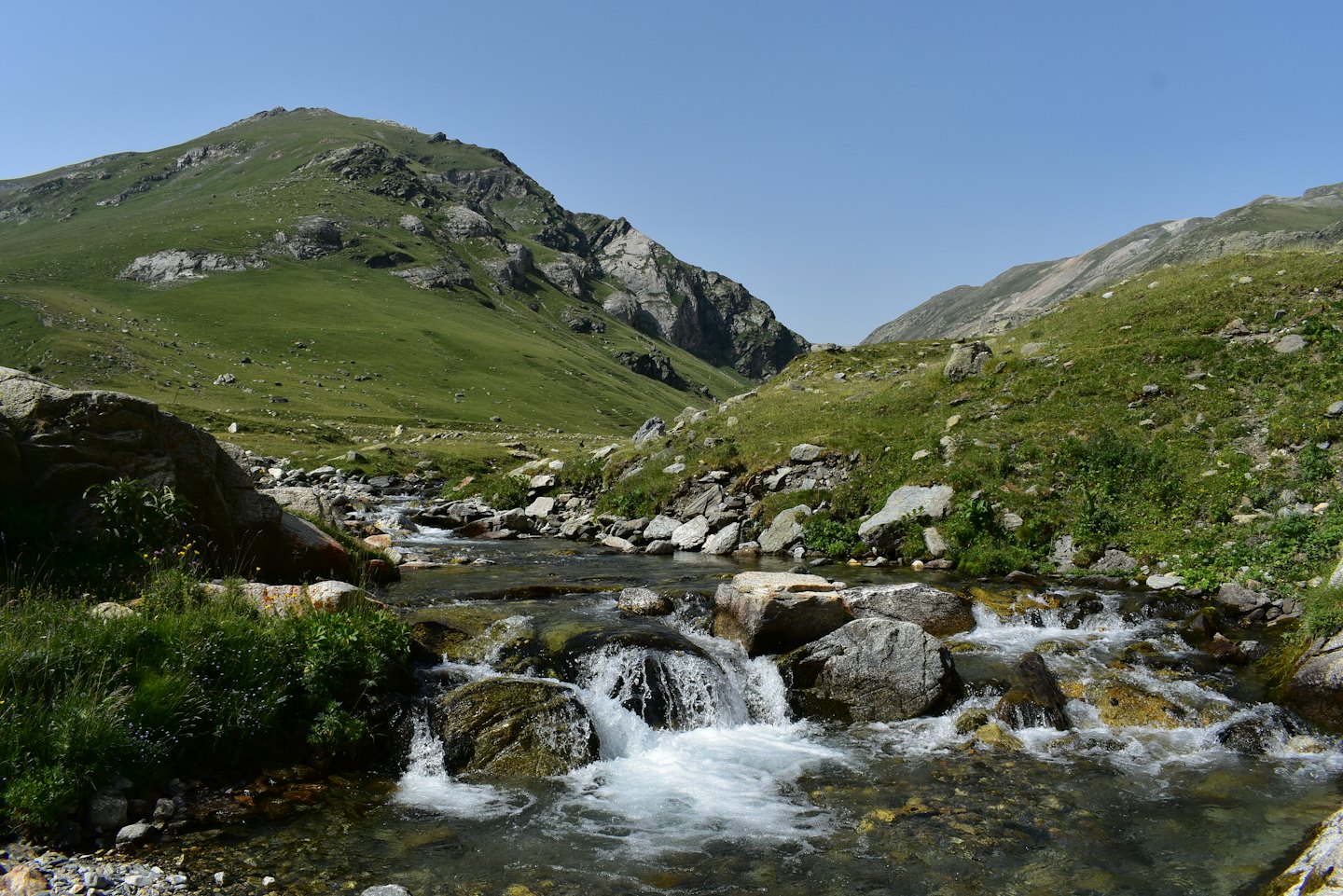 Corrente di montagna limpida che scorre su rocce attraverso una valle verde.